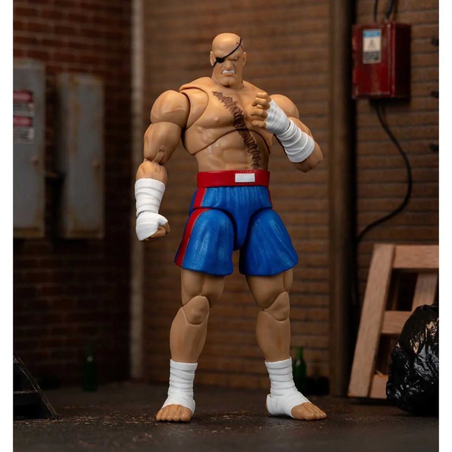 Ultra Street Fighter II - Sagat Deluxe Ver.